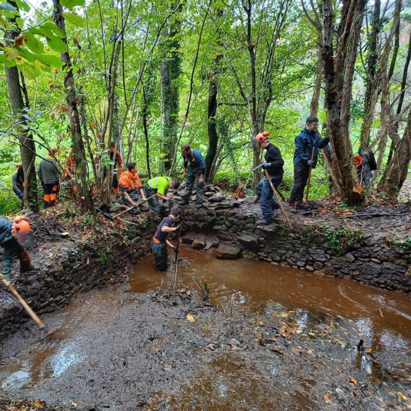 Élèves du lycée forestier André Alquier concentrés sur un travail pratique, collaborant en extérieur pour appliquer leurs connaissances en gestion forestière.