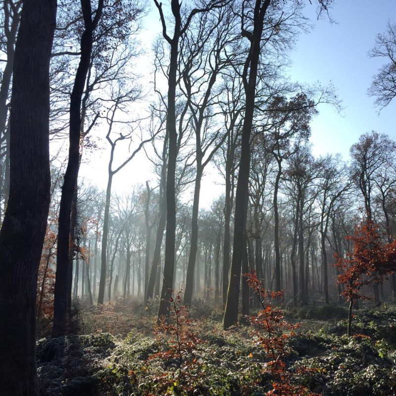 Paysage naturel photographié par des élèves de BTSA du lycée forestier André Alquier, mettant en valeur la biodiversité et les écosystèmes étudiés dans leur formation.