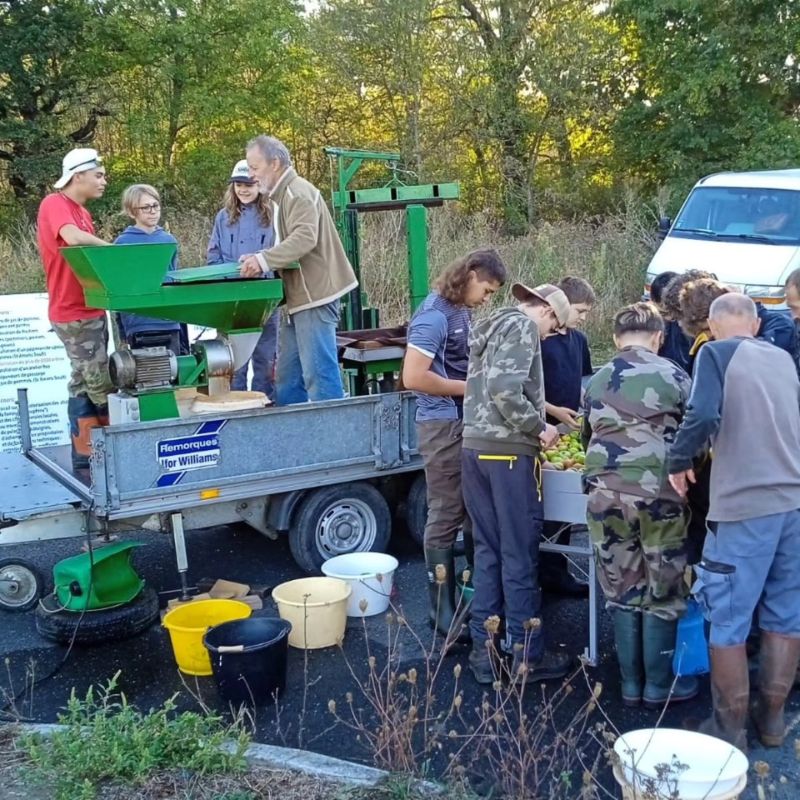 Élèves du lycée forestier en pleine activité de formation, entourés par la nature, illustrant l'apprentissage pratique et théorique des métiers forestiers.