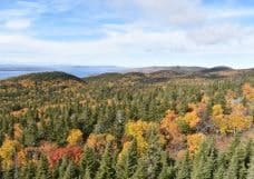 Agent de la Protection et de l’Exploitation des Territoires Fauniques (Québec)