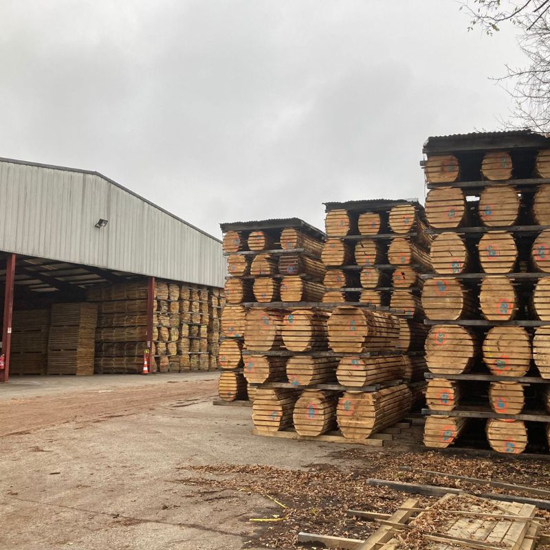 Photo d'une entreprise du secteur forestier, utilisée pour accompagner les offres d'emploi, illustrant les opportunités de carrière disponibles pour les diplômés.