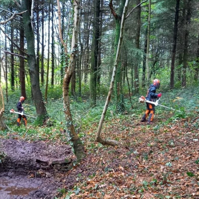 Élèves de secondes NPJF du lycée forestier André Alquier en stage, engagés dans des activités professionnelles sur le terrain, mettant en pratique leurs compétences en gestion forestière.