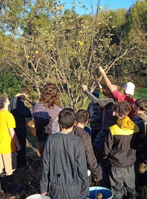 Élèves de 4ème et 3ème du lycée forestier André Alquier travaillant en extérieur, appliquant des techniques forestières dans un environnement naturel.