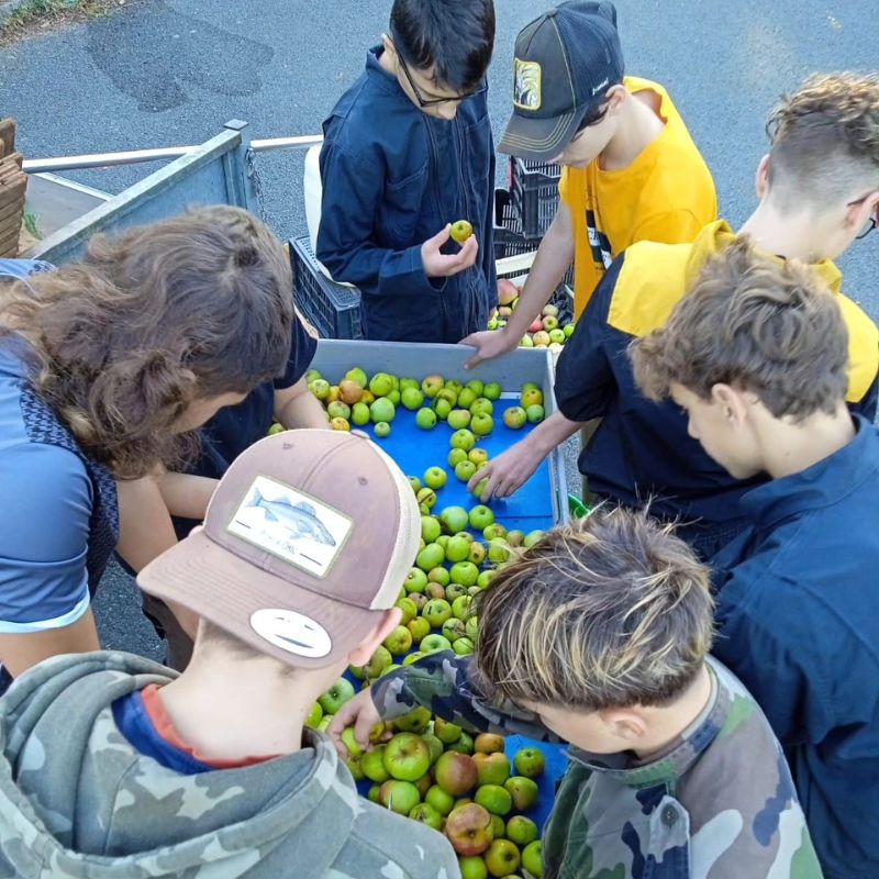 Élève du lycée forestier en stage en entreprise, en pleine immersion dans le milieu professionnel forestier, appliquant les compétences acquises en formation.